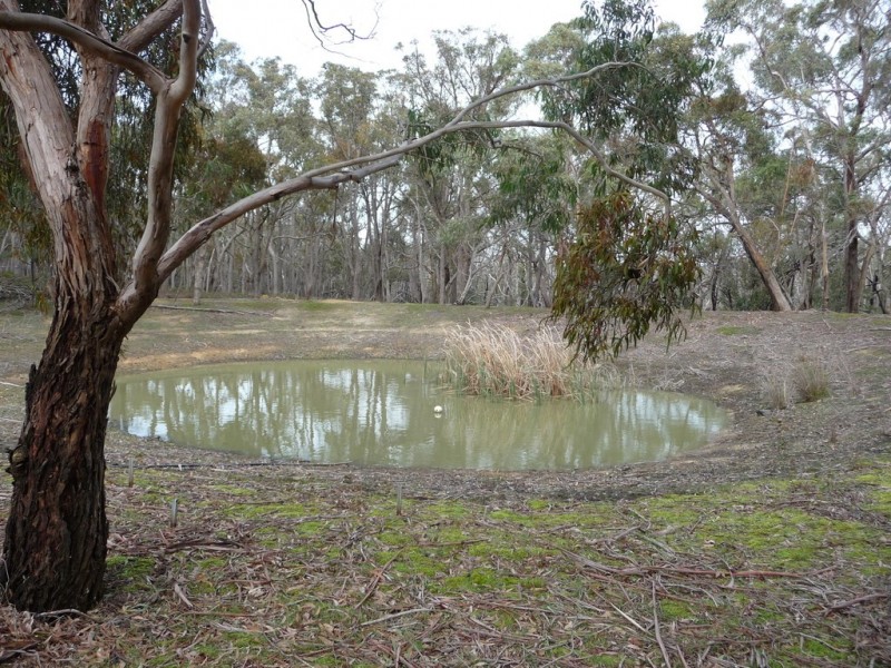 128 Ferrers Road, Dereel VIC 3352