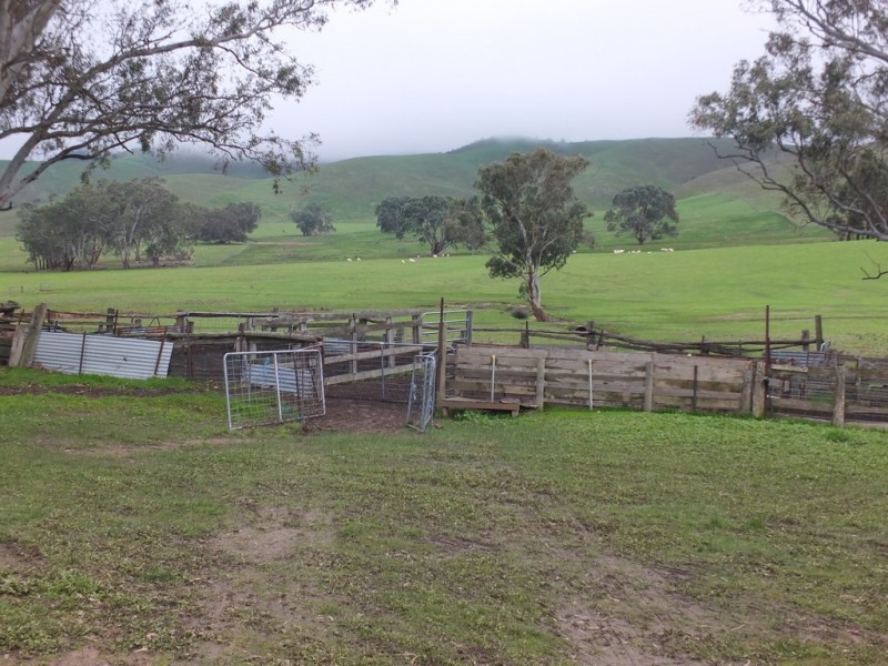 750 Lexton-Ararat Road, Amphitheatre VIC 3468