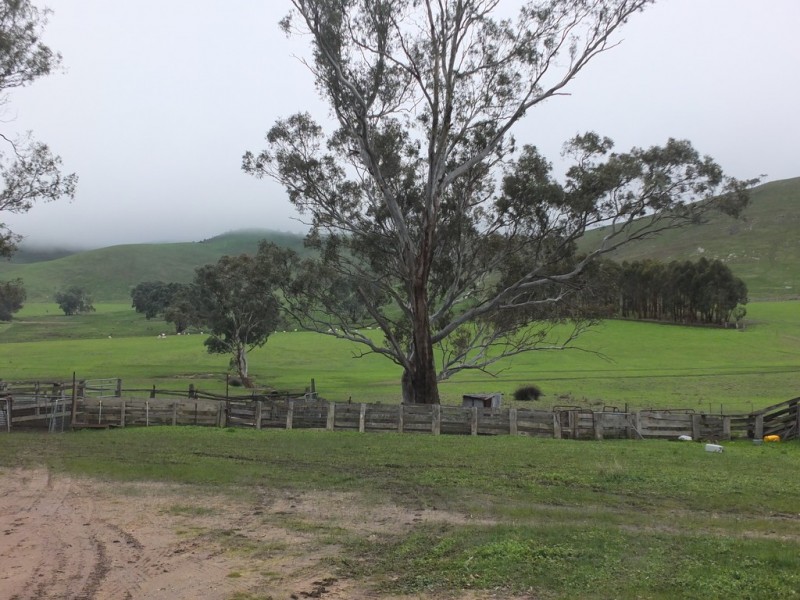 750 Lexton-Ararat Road, Amphitheatre VIC 3468