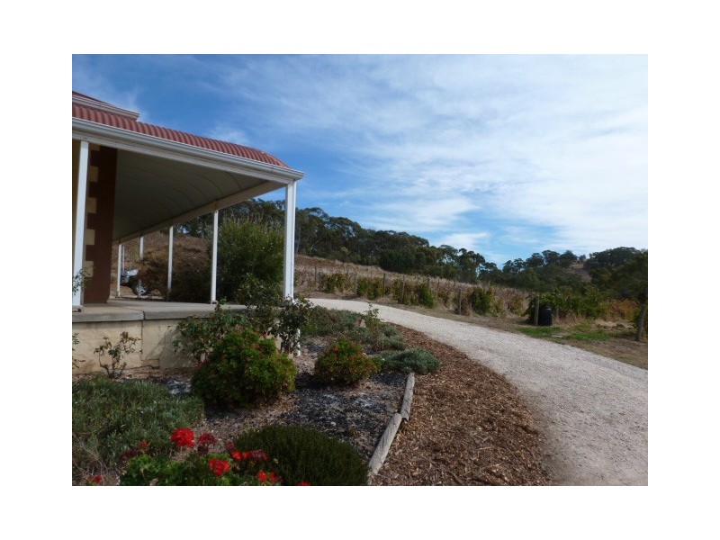 Lot 4a Seipelts Lane, Homestead, Penwortham SA 5453