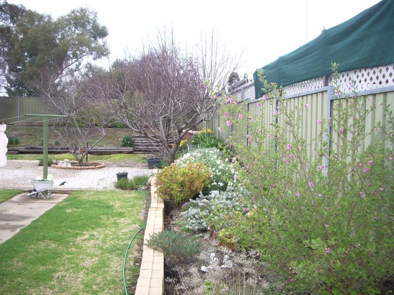 10 Berwick Street, Clare SA 5453