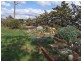 . Johnburgh Road, Orroroo SA 5431