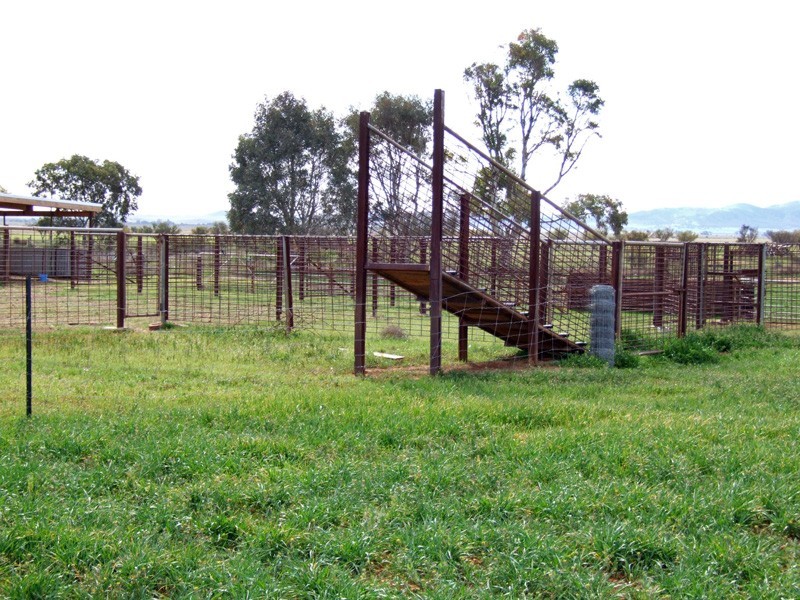 . Johnburgh Road, Orroroo SA 5431