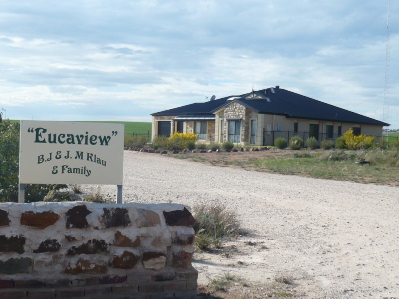 *  824.6ha “Eucaview” 2,038acs, Koolunga SA 5464