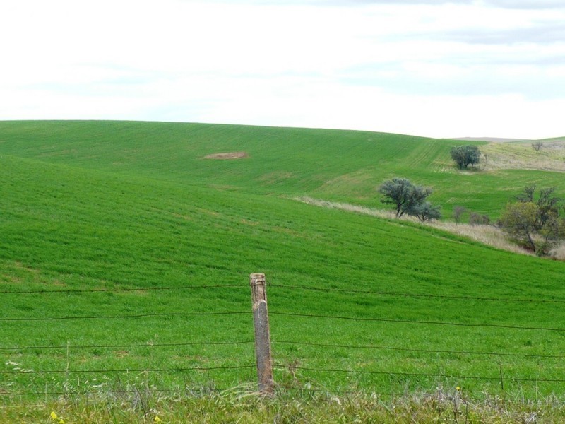 *  824.6ha “Eucaview” 2,038acs, Koolunga SA 5464