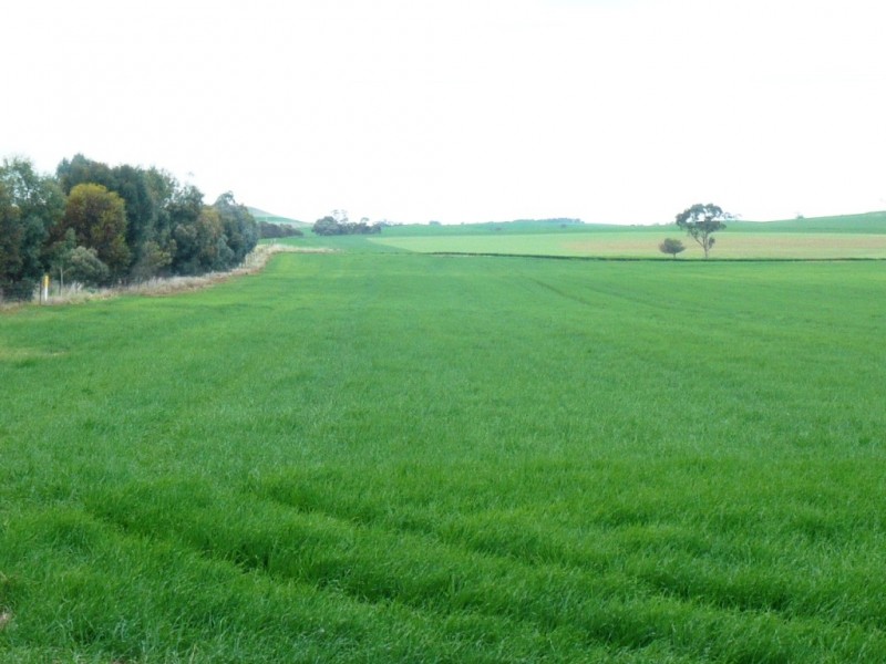 *  824.6ha “Eucaview” 2,038acs, Koolunga SA 5464