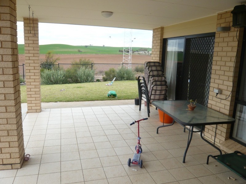 *  824.6ha “Eucaview” 2,038acs, Koolunga SA 5464