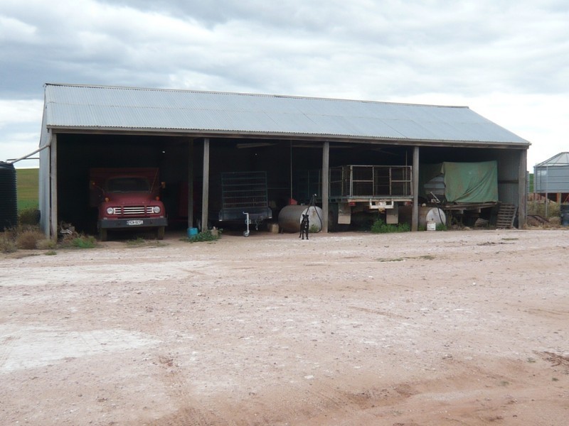 *  824.6ha “Eucaview” 2,038acs, Koolunga SA 5464