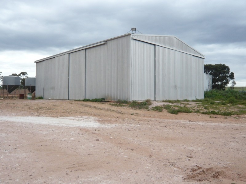 *  824.6ha “Eucaview” 2,038acs, Koolunga SA 5464