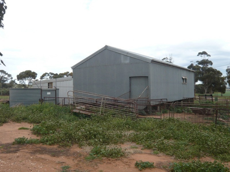 *  824.6ha “Eucaview” 2,038acs, Koolunga SA 5464