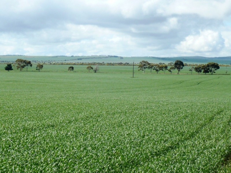 * 235.37ha Wheatlands 581.72acs, Hart SA 5464