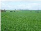 * 235.37ha Wheatlands 581.72acs, Hart SA 5464