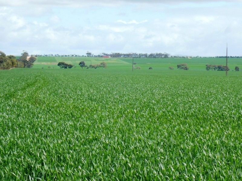 * 235.37ha Wheatlands 581.72acs, Hart SA 5464