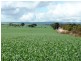 * 235.37ha Wheatlands 581.72acs, Hart SA 5464