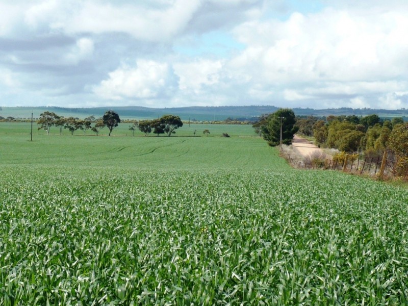 * 235.37ha Wheatlands 581.72acs, Hart SA 5464