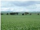 * 235.37ha Wheatlands 581.72acs, Hart SA 5464