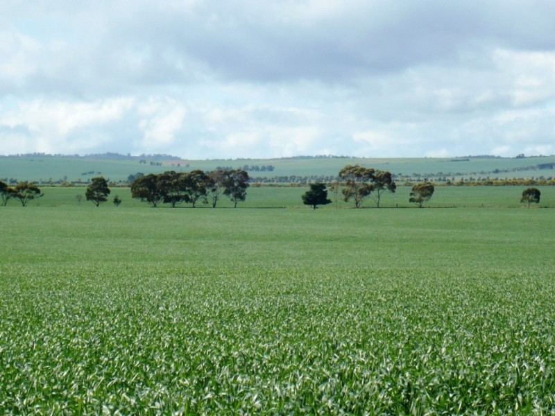 * 235.37ha Wheatlands 581.72acs, Hart SA 5464