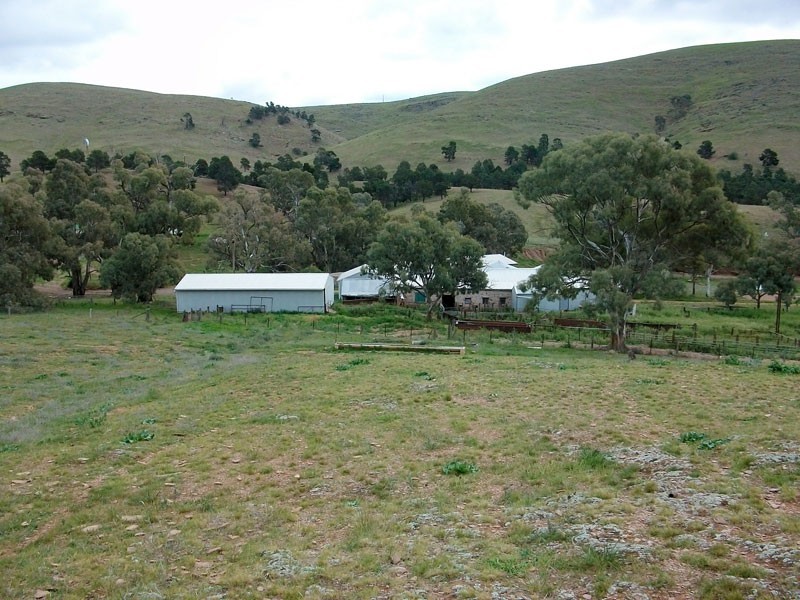 . Bendleby Road, Carrieton SA 5432