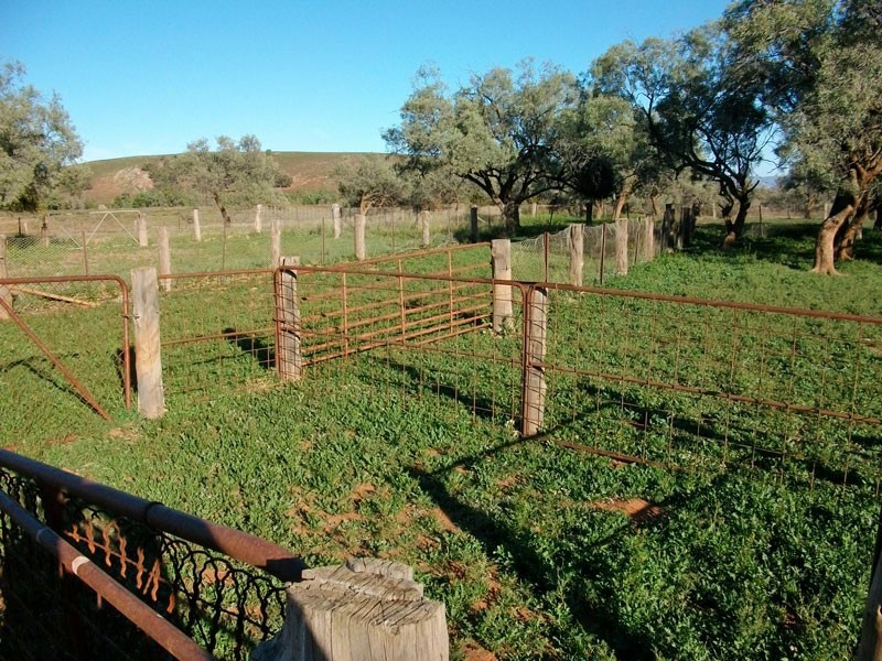 . Bendleby Road, Carrieton SA 5432