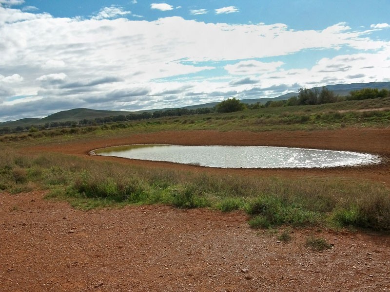 . Bendleby Road, Carrieton SA 5432