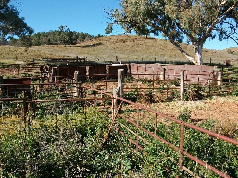 . Bendleby Road, Carrieton SA 5432