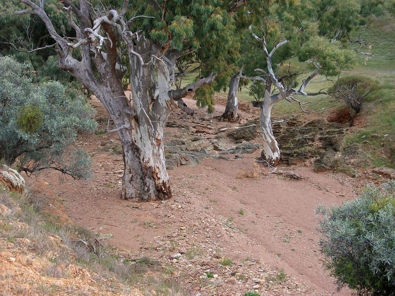 . Bendleby Road, Carrieton SA 5432