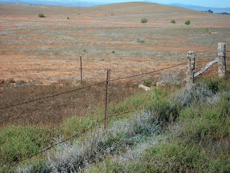 . Bendleby Road, Carrieton SA 5432