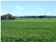 * 86.18ha Davidsons 213acs, Auburn SA 5451