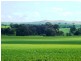 * 86.18ha Davidsons 213acs, Auburn SA 5451
