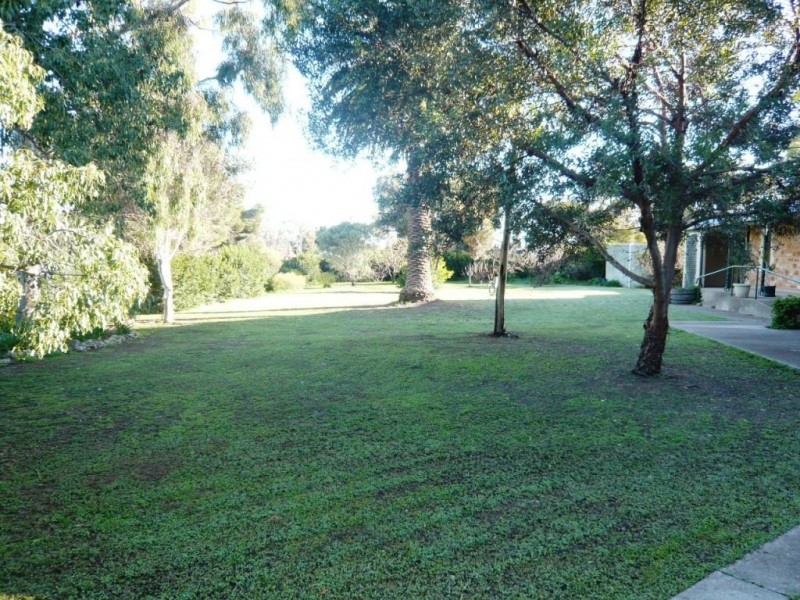 12 Burney Street, Blyth SA 5462