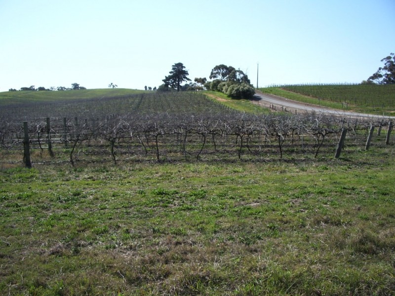 * Ashton’s, Springs and Donnybrook, Sevenhill SA 5453