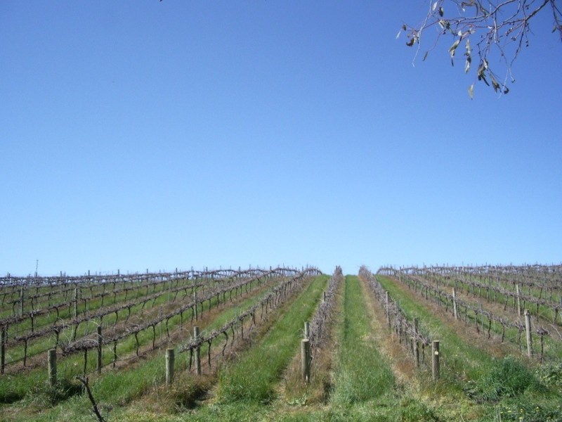 * Ashton’s, Springs and Donnybrook, Sevenhill SA 5453