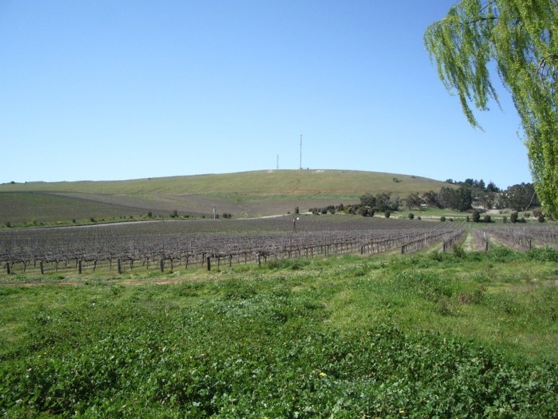 * Ashton’s, Springs and Donnybrook, Sevenhill SA 5453