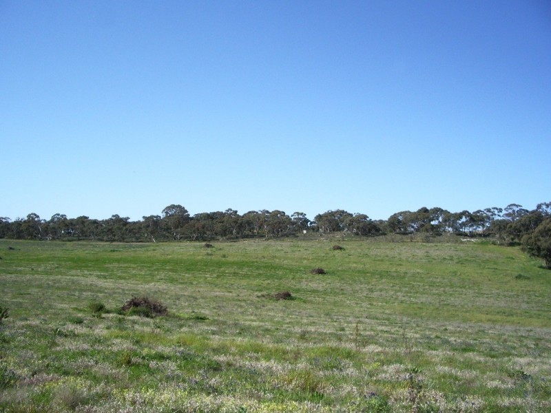 * Ashton’s, Springs and Donnybrook, Sevenhill SA 5453