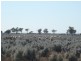 * 12,288.9ha The Gums 30,372acs, Burra SA 5417