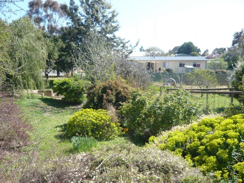 33 Daly Street, Clare SA 5453