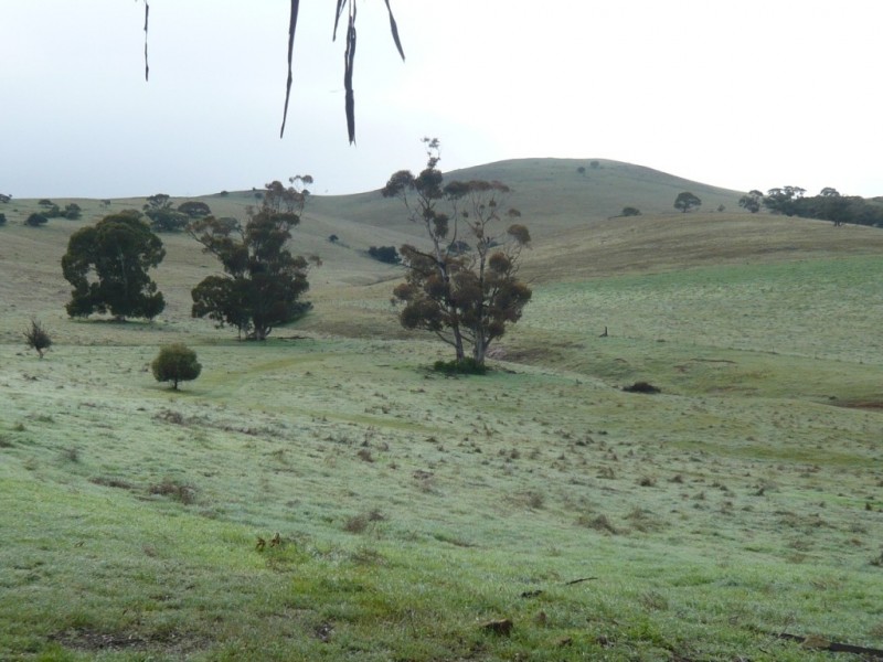 Lot 2 37.72ha YAKILO HOMESTEAD 93.22acs, Andrews SA 5454