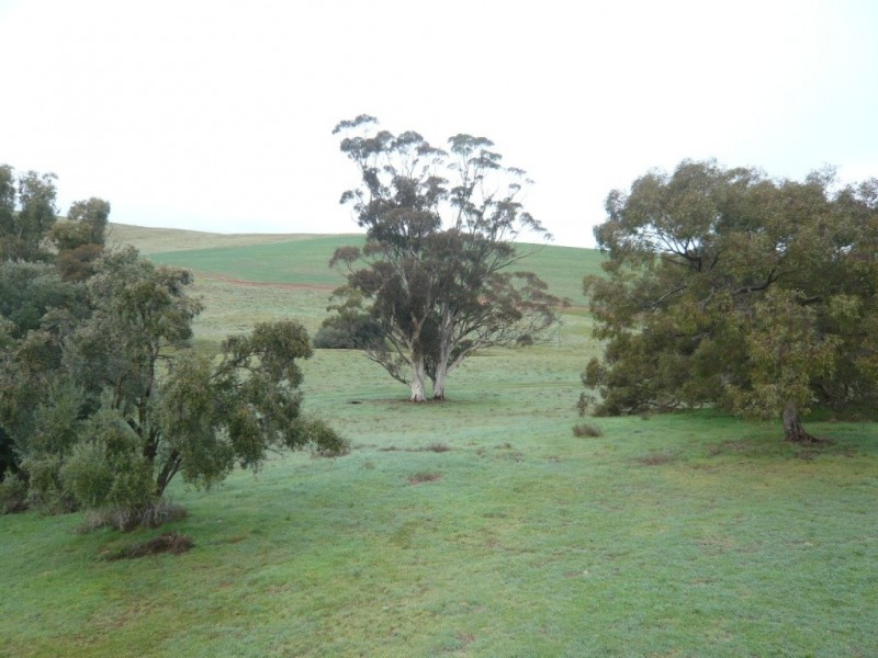 Lot 2 37.72ha YAKILO HOMESTEAD 93.22acs, Andrews SA 5454