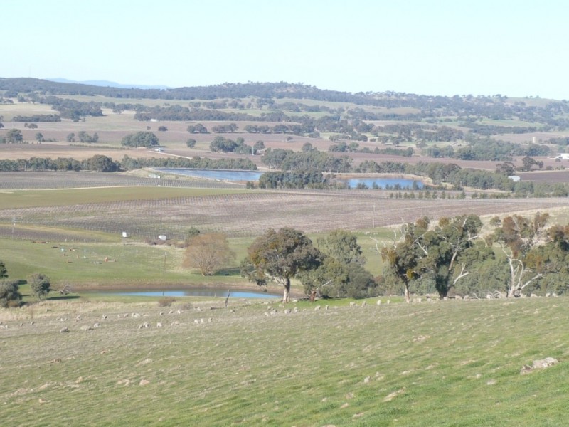 33.3ha “Avenue Ridge” 82.3acs, Clare SA 5453
