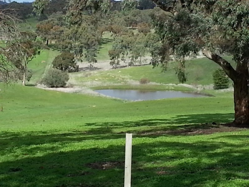 33.3ha “Avenue Ridge” 82.3acs, Clare SA 5453