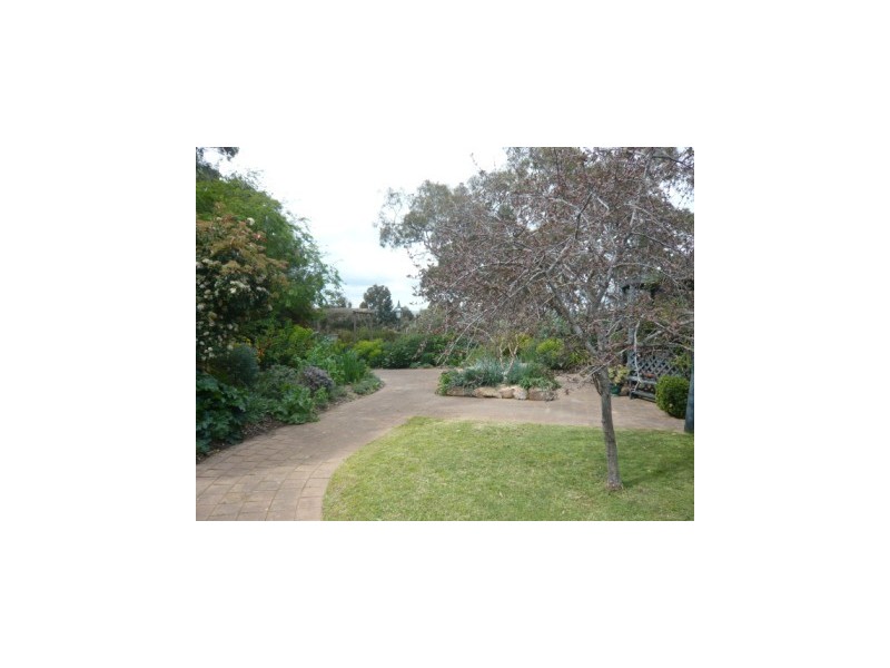 33.3ha “Avenue Ridge” 82.3acs, Clare SA 5453