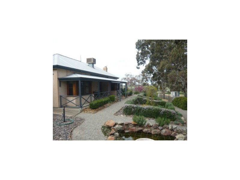 33.3ha “Avenue Ridge” 82.3acs, Clare SA 5453