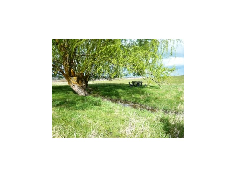 33.3ha “Avenue Ridge” 82.3acs, Clare SA 5453