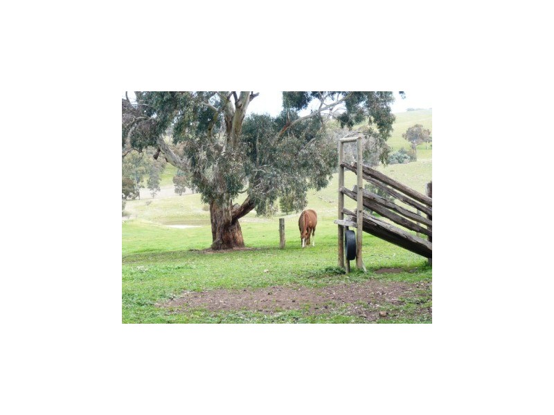 33.3ha “Avenue Ridge” 82.3acs, Clare SA 5453