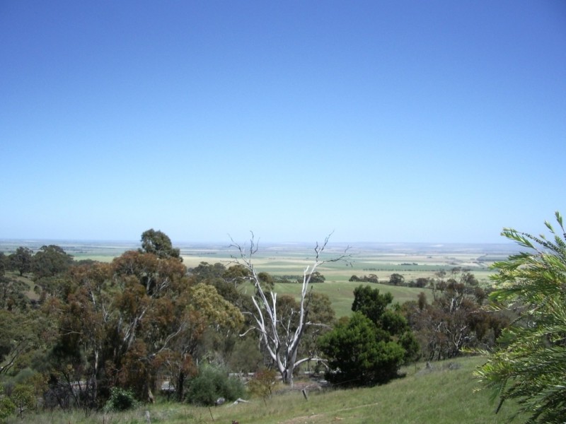 0 “Boco”, Old Blyth Rd, Clare SA 5453