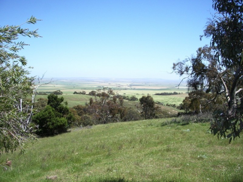 0 “Boco”, Old Blyth Rd, Clare SA 5453