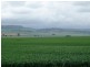 * 299.3ha Brooks 740acs, Jamestown SA 5491