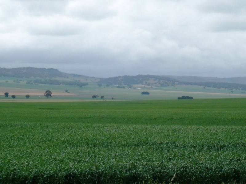 * 299.3ha Brooks 740acs, Jamestown SA 5491