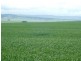 * 299.3ha Brooks 740acs, Jamestown SA 5491