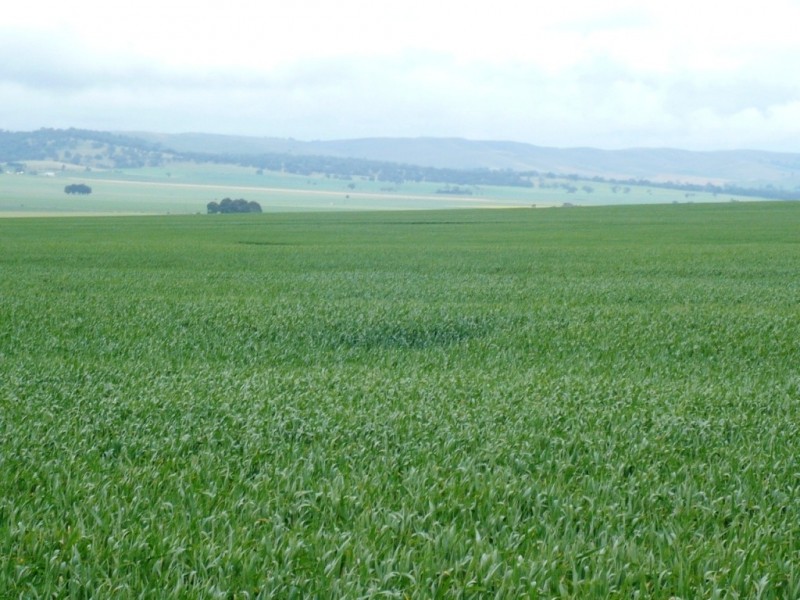 * 299.3ha Brooks 740acs, Jamestown SA 5491